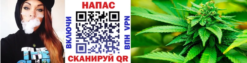 Наркошоп купить ГАШ  Бошки Шишки  Меф мяу мяу  Жердевка