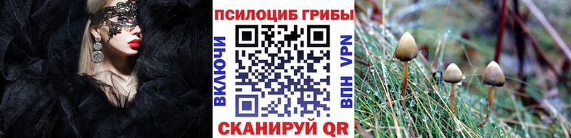 Галлюциногенные грибы MAGIC MUSHROOMS  Купить закладки  Жердевка 
